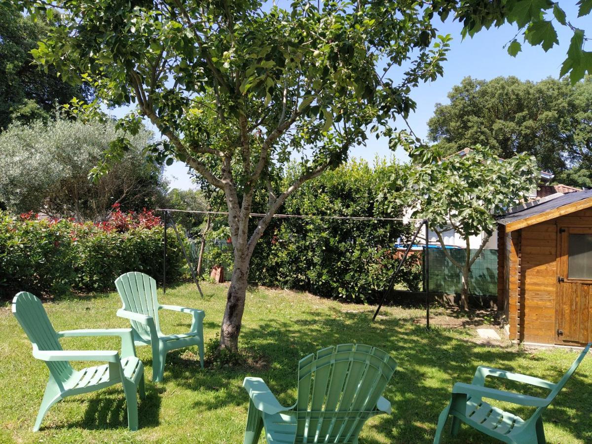 Maison Christy, Spacieux, Calme Avec Jardin Ondres Eksteriør billede